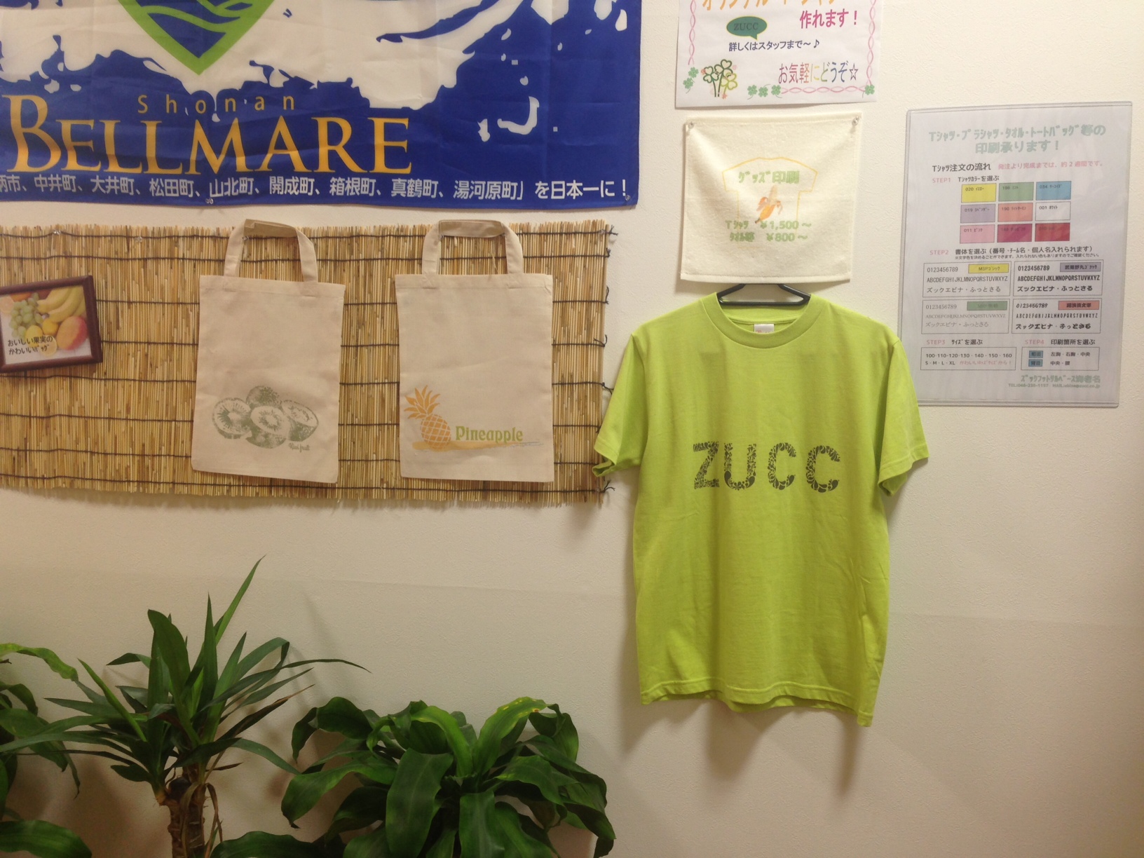 http://zucc.co.jp/staffblog/2013/06/27/dat_blog/20130627.JPG